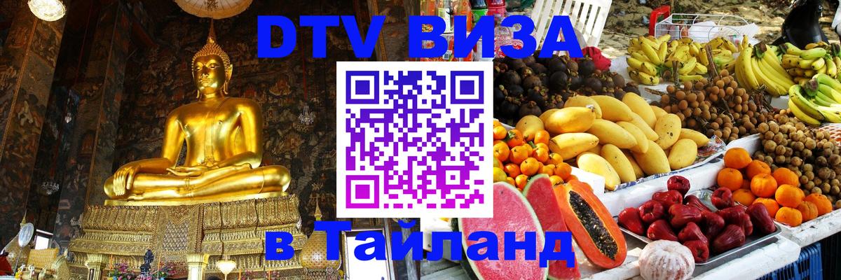 Сколько стоит DTV виза — актуальные цены, оформление даже без документов - Казань 